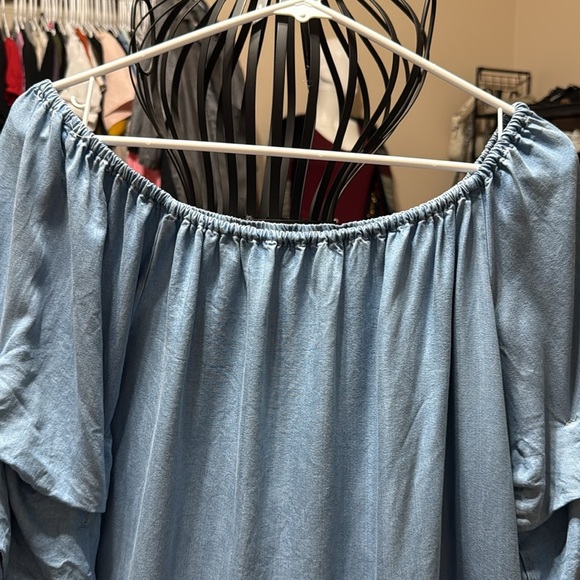 Zara Lightweight Denim On/Off-Shoulder Ruffle Sleeve Shift Dress - Picture 3 of 5